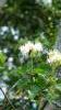 273303 – Photo : Mathurin CARNET – France (58)